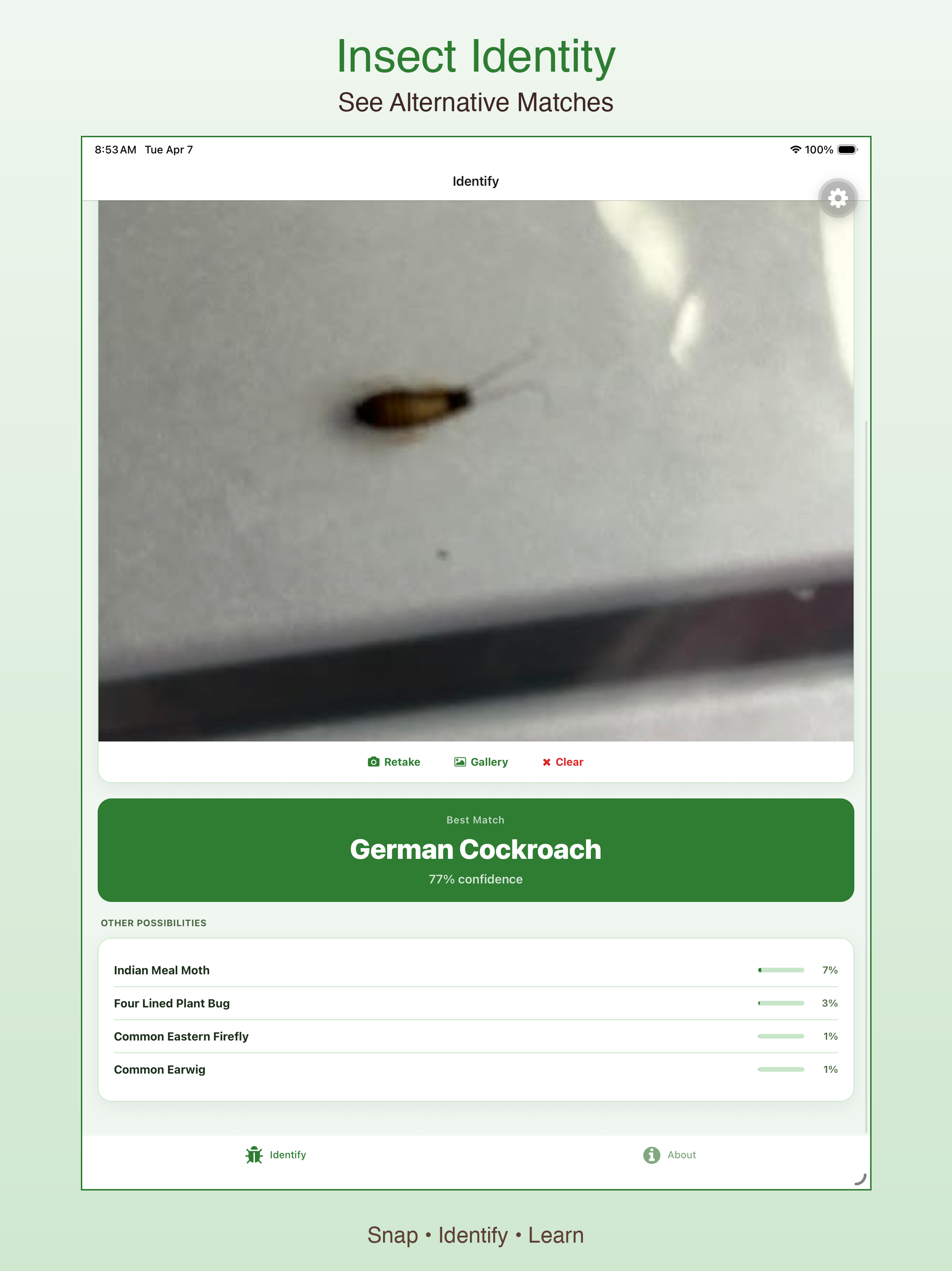 Insect Identity screenshot 6