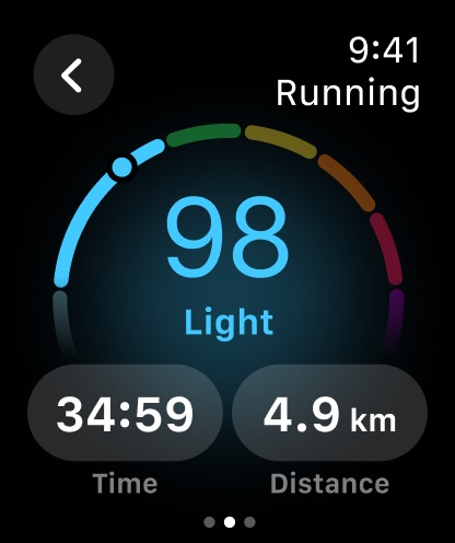 Welltory: Stress & Heart Rate: official Apple Watch preview 3 (opens full image in a new tab)