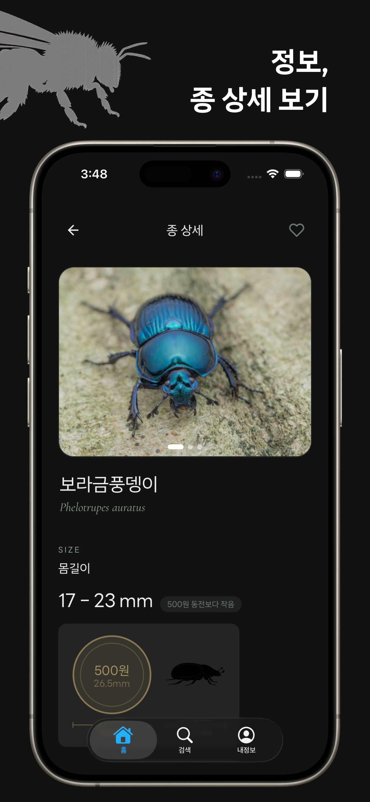 KoIn Pedia - 한국 곤충 백과 screenshot 4