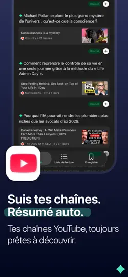 Capture d'écran de Vibe Reader: AI Summary Cards sur iPhone 4
