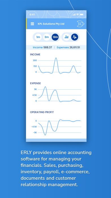 erly Accounting Screenshot