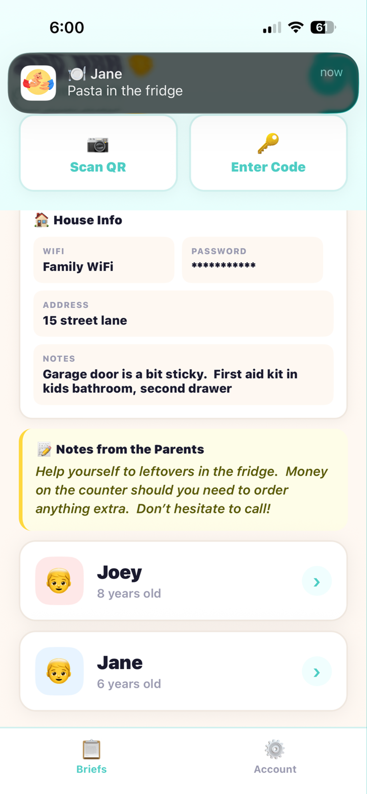 Handoff - Sitter Briefing screenshot 3