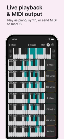 Chord iPhone screenshot