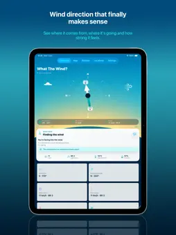 What The Wind? screenshot 12