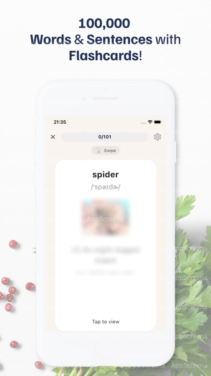 Learn English - FlashCard