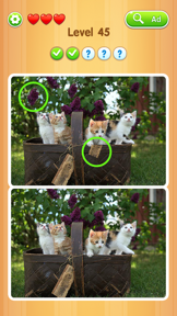 Detect It Picture Puzzle screenshot