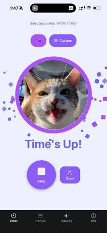 Custom Visual Timer screenshot