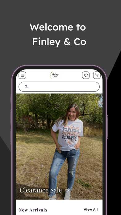 Finley & Co Screenshot