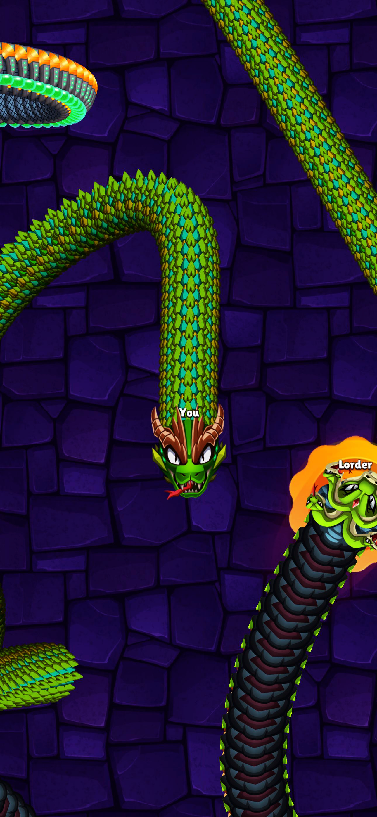 Snake Arena: Battle Royale