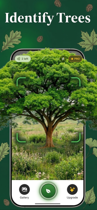 TreeID: Tree Scanner Screenshot 1 of 3