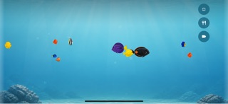Reef Guard Screenshot 1 of 8