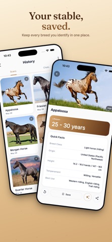 Horse Identifier & Breed ID screenshot