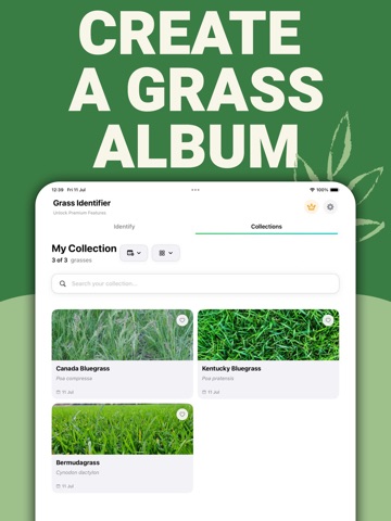Grass Identifier - AI Scanner iPad screenshot