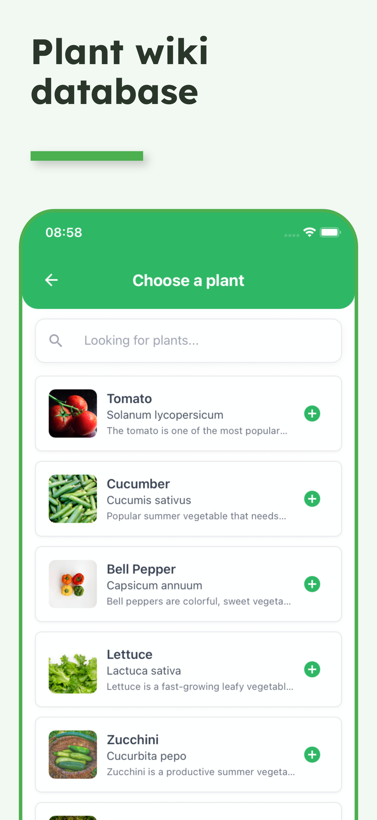 Verdy screenshot 3