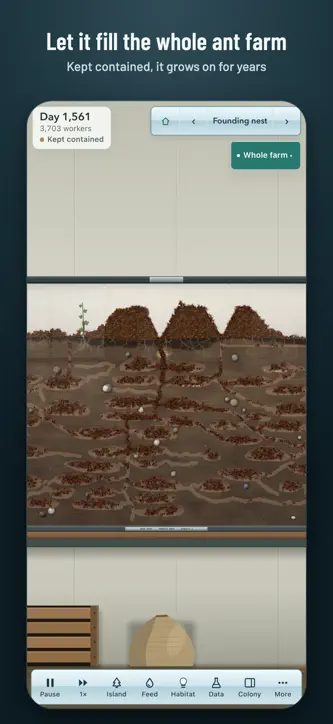 Ant Laboratory screenshot 7