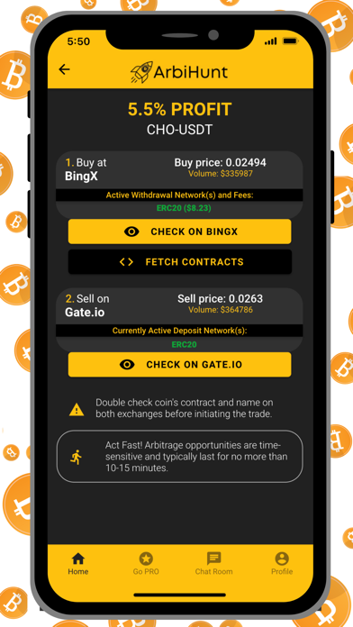ArbiHunt - Crypto Arbitrage Screenshot
