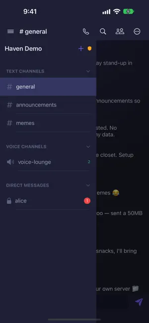 Haven - Self-Hosted Chat screenshot 4