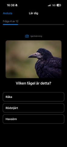 Fågelbok Screenshot 3 of 6
