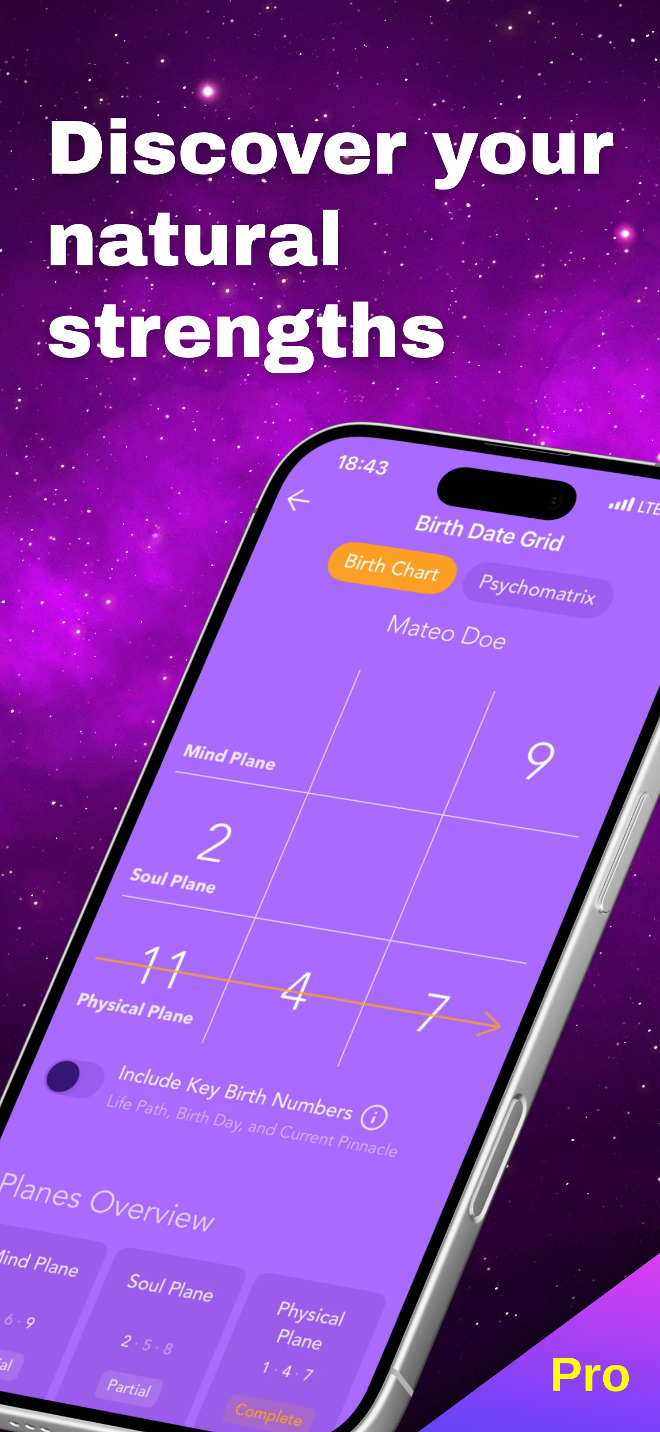 Pocket Numerology Pro