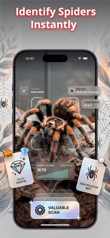 Spider Identifier | Bug Finder iPhone screenshot