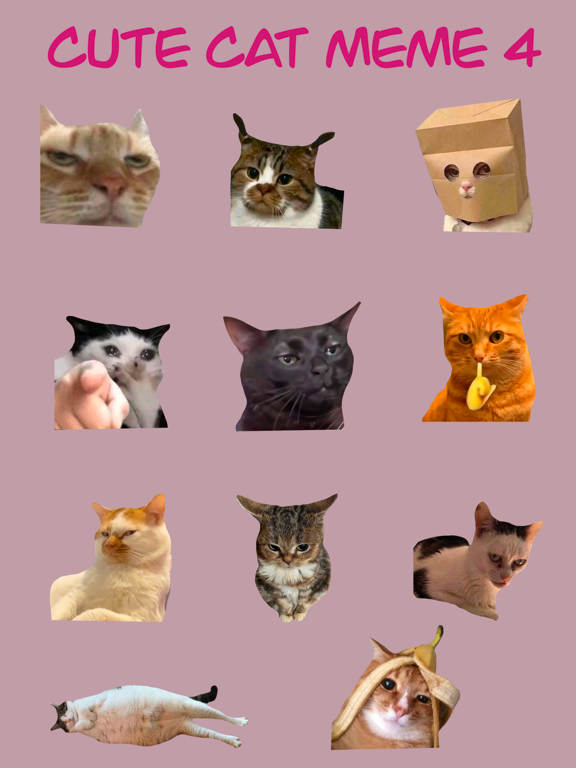 Screenshot #4 pour Cute Cat Meme 4