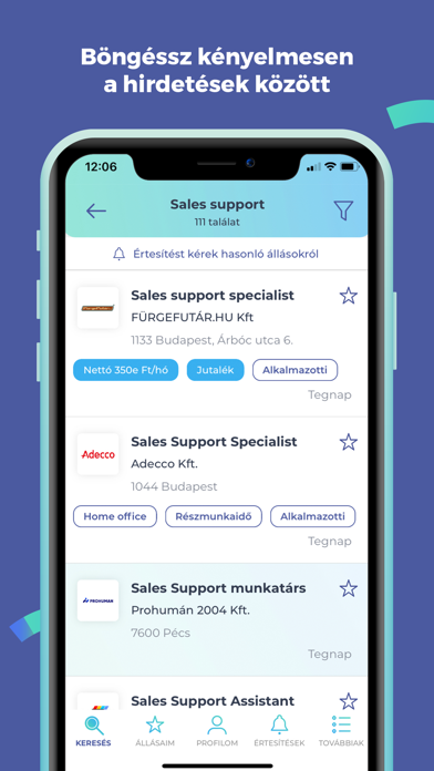 Profession.hu: Fast Job Search Screenshot