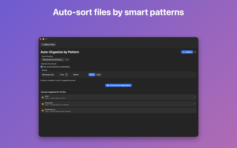 Smart File Organizer screenshot