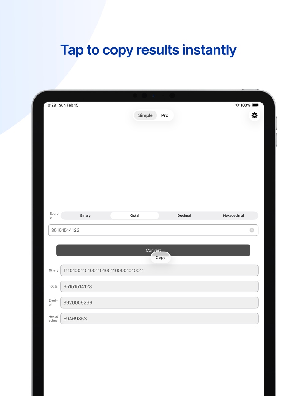 iPad screenshot