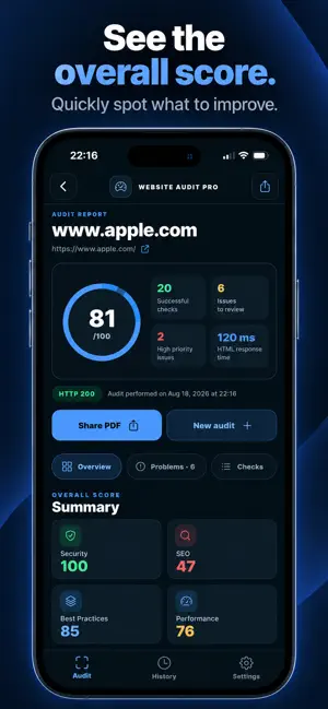 Website Audit Pro screenshot 2