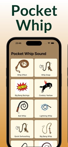 Pocket Whip screenshot