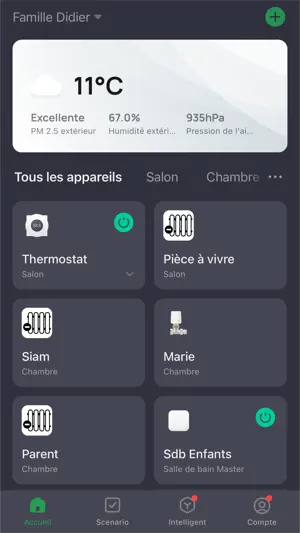 Domeco screenshot 1