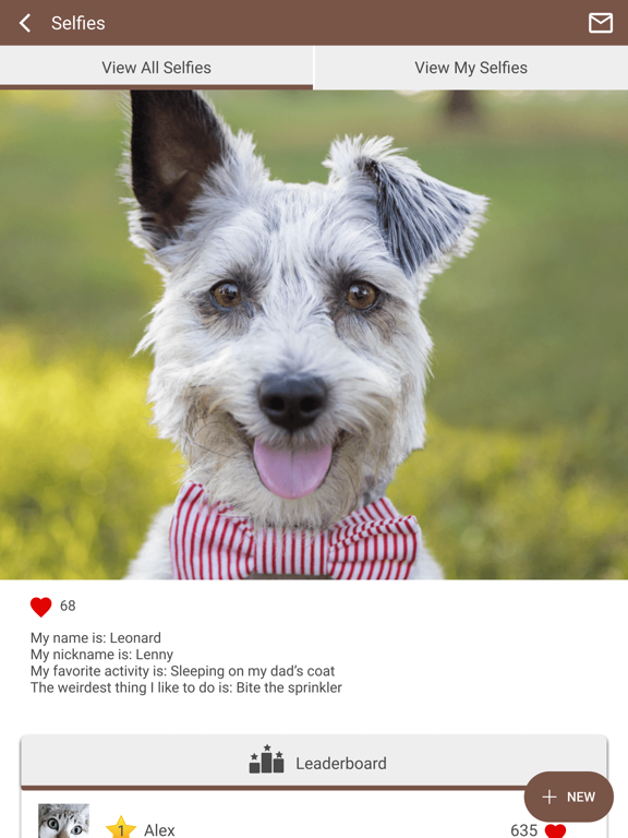 Franklin Vet iPad screenshot 4 - Business app