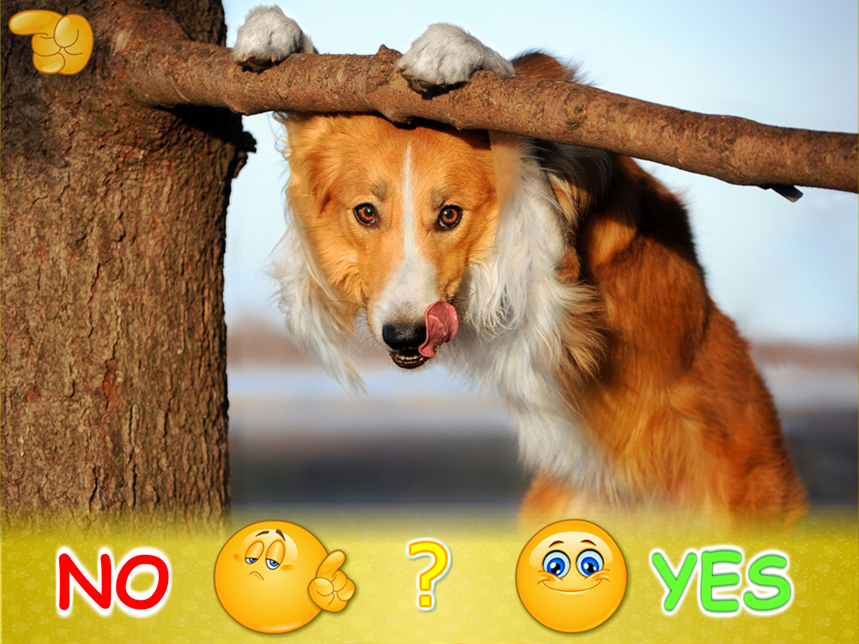 Animal picture games for kids. screenshot 16