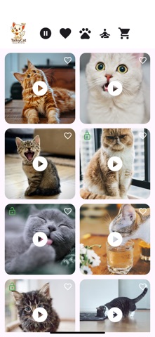 TalkyCat – Talk to Your Cat iPhone screenshot
