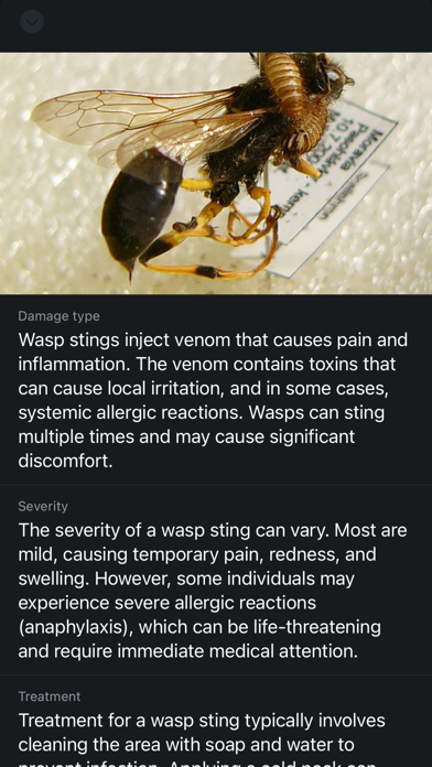 Bug & Insect ID Identification Screenshot