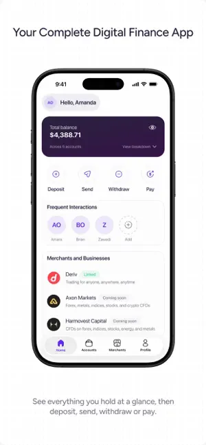 D-CASH screenshot 1