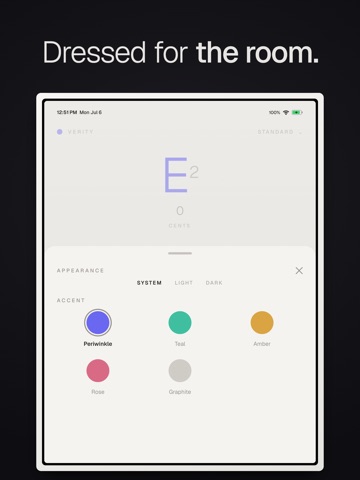 Verity Tuner iPad screenshot