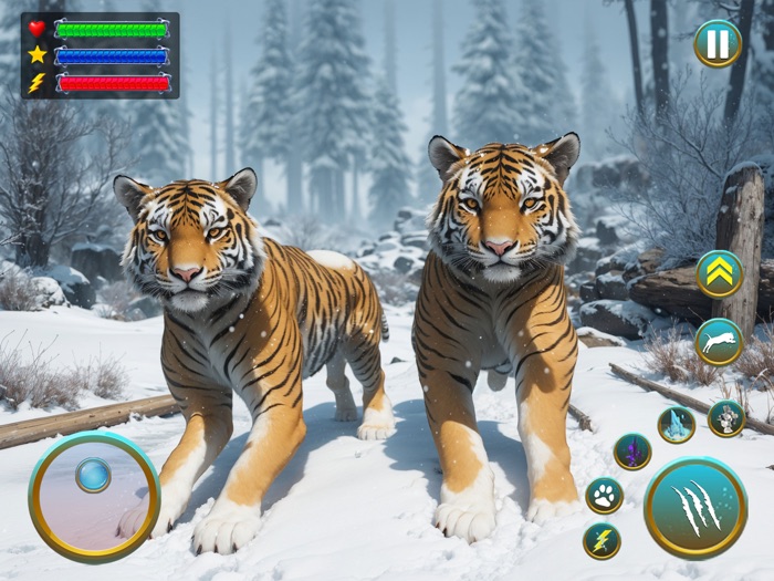 Wild Tiger Animal Survival