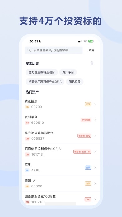 Snowball Portfolio Screenshot