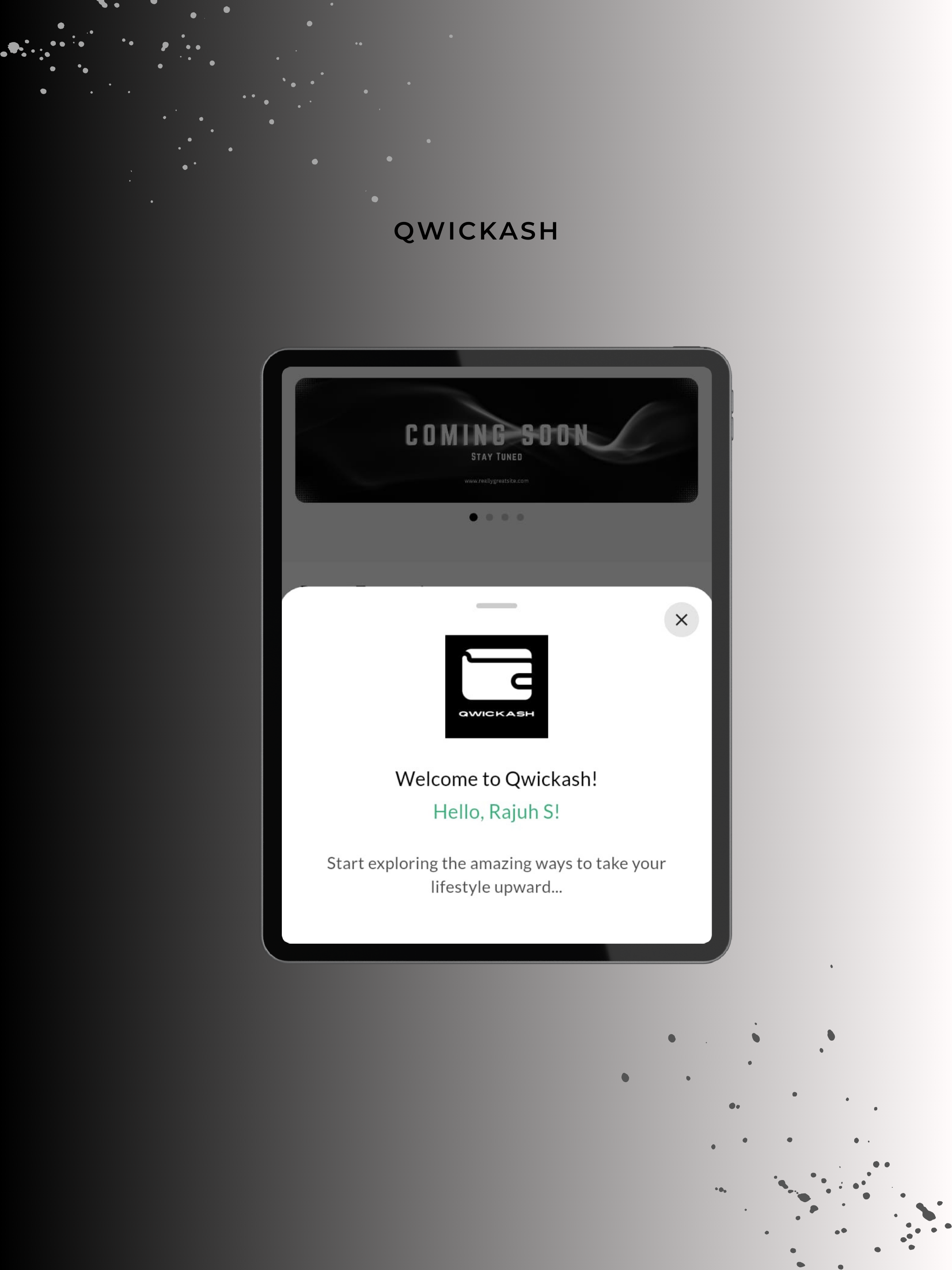 Qwickash screenshot 7