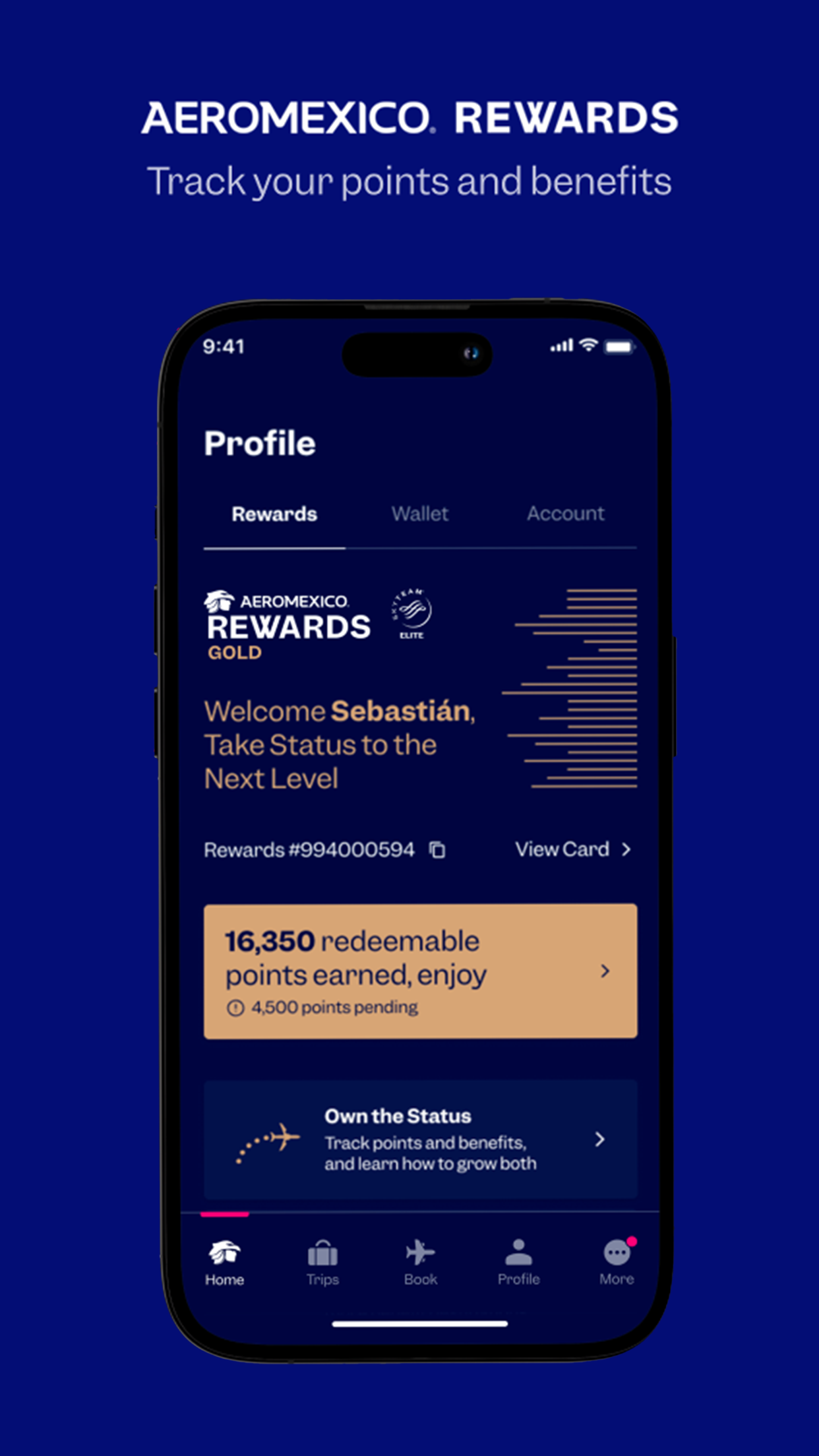 Aeroméxico screenshot 3