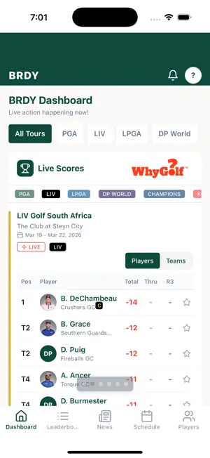 BRDY Golf screenshot 2