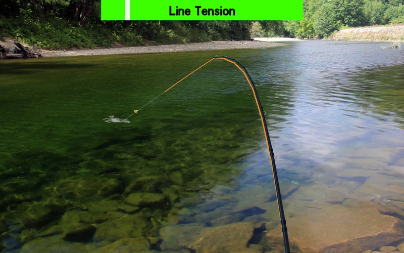 Fly Fishing Simulator HD Prem. Screenshot