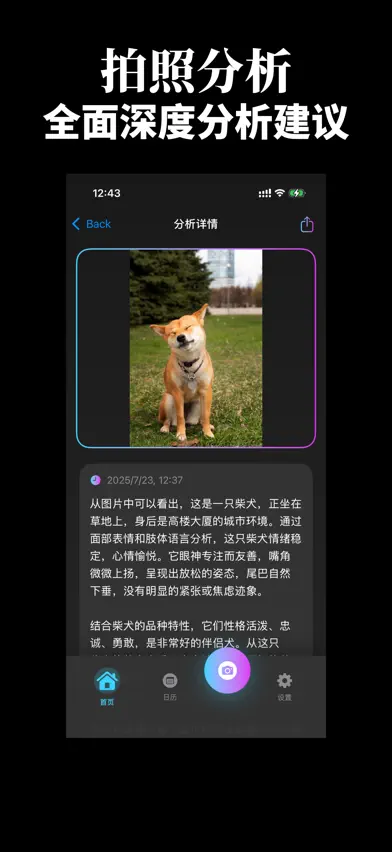 PetMood screenshot 2