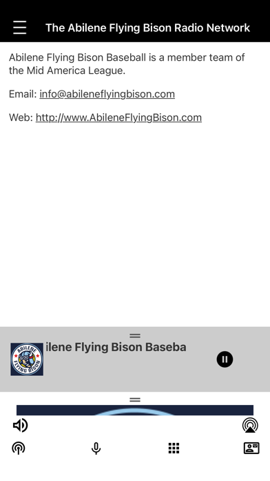 Abilene Flying Bison Screenshot