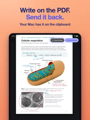 Pen Friend: Handwriting Notes screenshot 2