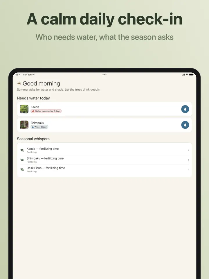 Bonsaiku on iPad: screenshot 4 of 7