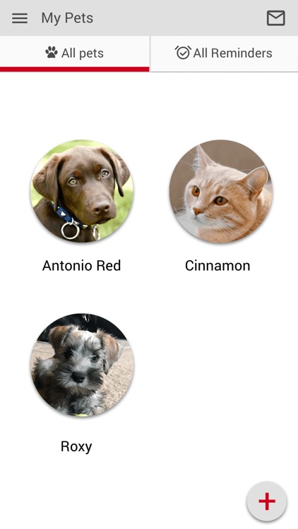 Panhandle Veterinary Services