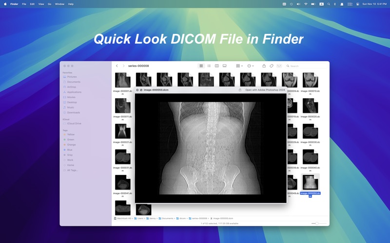 DCM Viewer Screenshot