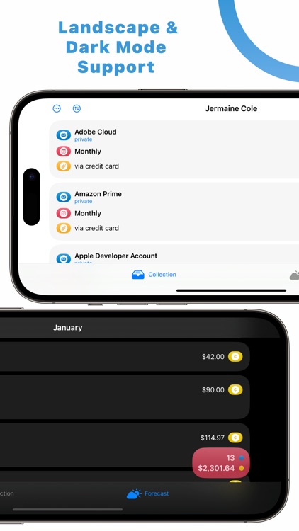Subscriptions Tracker - Sparky screenshot-4